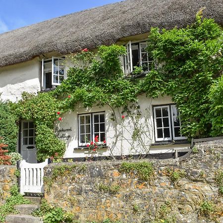 Rookwood Villa Exeter Eksteriør billede